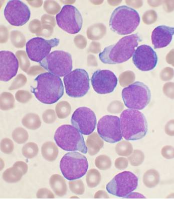 Medicine Image Question -2